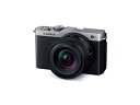 パナソニック(Panasonic) フルサイズ ミラーレス一眼カメラ ルミックス DC-S9N-S 広角ズームレンズキット ダークシルバー