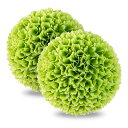 GYMAX 人工観葉植物 トピアリーボール 2個入り ぶら下げグラスボール 花ボール 装飾ボール プラスチック トピアリーボール ガーデニング ウォールグリーン 屋外 室内 ガーデン 庭 結婚式 飾り 明るく元気 グリーン