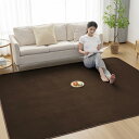 Matdeco カーペット ラグ ラグマット滑り止め付 洗える 200×300cm 約4.5畳 絨毯 防ダニ 抗菌 防臭 オールシーズン快適に使用 床暖房 ホッ...