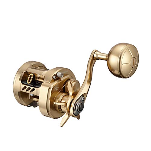 (DAIWA) 21 Х 200L
