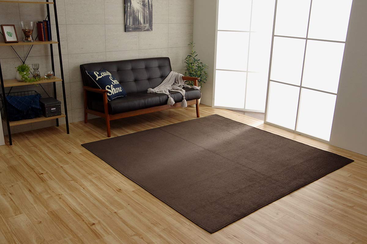 Rakuten - イケヒコ ラグ カーペット 洗える 撥水 無地 シンプル 滑りにくい モデルノ ブラウン 約185×185cm #4599229