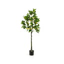 GYMAX フェイクグリーン 大型 人工観葉植物 観葉樹 フェイク 爽やかなレモンの木 高さ160cm 飾り用 水やり不要 メンテナンス簡単 室内 屋外 キッチン オフィス リビング 玄関 引っ越し祝い