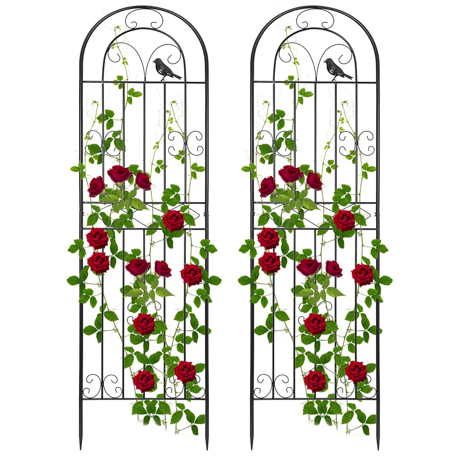 Rxakudedo 2PCS アイアンフェンス 園芸 フェンス ハイタイプ 高さ180cm ローズフェンス 蔓性植物用支柱 フェンス