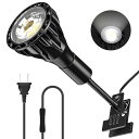 PispoerクランプソケットE 26バルブソケットバンド24 W植物成長ランプ(LEDランプは240 W白熱ランプに相当)RA 98色温度5800 K、ガチョウネック管長13.5 CM、スイッチ線長1.65 M長、(黒)