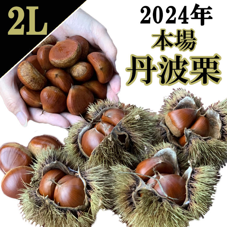 丹波栗 2L サイズ 1kg 新栗 丹波栗 生栗 大粒 令和4年 和栗 大きな栗 栗お土産 栗スイーツ ご当地グルメ たんば栗 生栗 兵庫 丹波産 送料無料 伝統野菜 国産のサムネイル