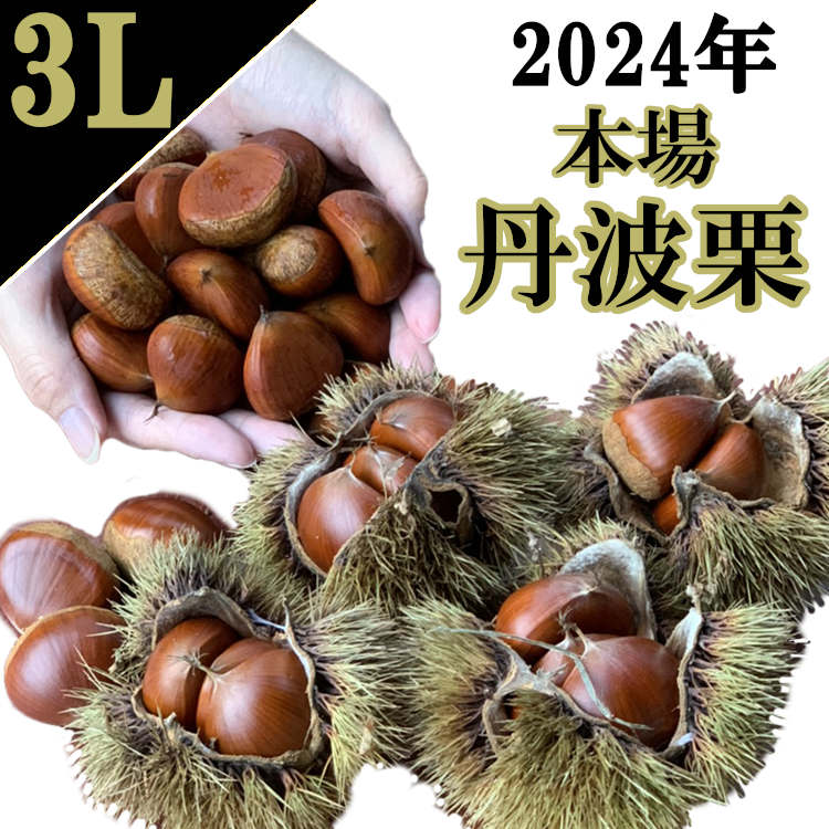 丹波栗 3L 1kg 新栗 丹波栗 生栗 大粒 和栗 大きな栗 栗お土産 栗スイーツ ご当地グルメ たんば栗 生栗 兵庫 丹波産 送料無料 伝統野菜 国産のサムネイル