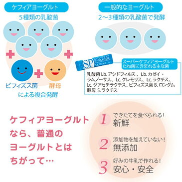 スーパーケフィアヨーグルト たね菌 種菌 10本袋×5個セットロイヤルユキ手作りヨーグルト 乳酸菌 送料無料