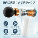 筋膜リリースガン ハンディガン 筋膜リリース AI自動モード付き 350g超軽量 最速4200回/分 静音 LED表示 携帯便利 Type-C急速充電 収納ケース プ誕生日プレゼント 女性 男性 父の日 母の日 敬老の日 ギフト最適(2)