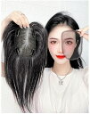 「スーパーセール期間中 10倍ポイントGET」人毛 ウィッグ 部分ウィッグ 頭頂部 人毛100% 人毛ウィッグ 前髪ウィッグ 白髪隠し 送料無料 『25cm 3...