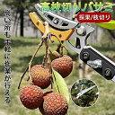 高枝切りバサミ 3m 4m 5m 伸縮式高枝切鋏 鋸付き 伸縮式 剪定鋏 高枝鋏 高枝用 SK5 高所 園芸用はさみ 太枝切鋏 枝切り 枝分け 高枝切り鋏 万能...