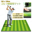 ゴルフ練習用マット 練習マット ゴルフマット 120×150cm ショット用マット 人工芝 ゴムティー穴6個付き 10mmEVA底面 ショット スイング ドライ...