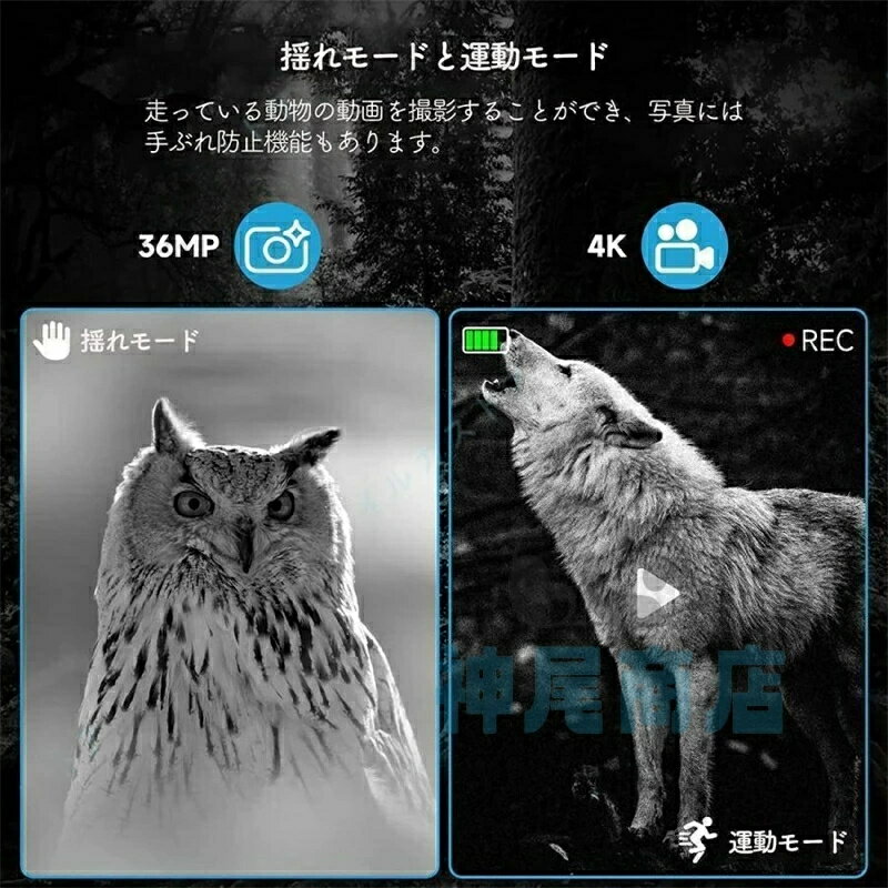 �Ż륹������ 4K �Ż�� ˾��� �ʥ��ȥ������� 3.2������վ� ���� �ʥ��ȥӥ���󥴡����� �д�� 7��٥��ֳ��������� �Ż� ����ѥ��� 4K����36MP���� �д�� Ͽ�� ��� �Ż����� ���� ���� ����� ���Х��� ������ 2024������