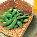 冷凍 茶まめ ノースイ) 塩味 茶豆 500g