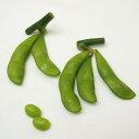 冷凍枝豆 ニッスイ) 枝つき 塩あじえだ豆 1kg