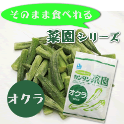 ノースイ） カンタン菜園　オクラ　500g