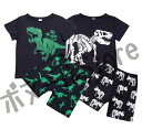 【クーポン利用で→80円OFF 送料無料】3色 上下セット 恐竜半袖 Tシャツ 怪獣半袖 ザウルスシリーズ ダイナソー 男の子 子ども服 グッズ プレゼント コ...