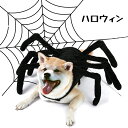 【50円クーポン配布中! 送料無料】 ハロウィン クリスマス ペット 服 クモ 仮装 クモ服 ペットグッズ ドッグウエア 小型犬 超小型犬 コスチューム ペット...