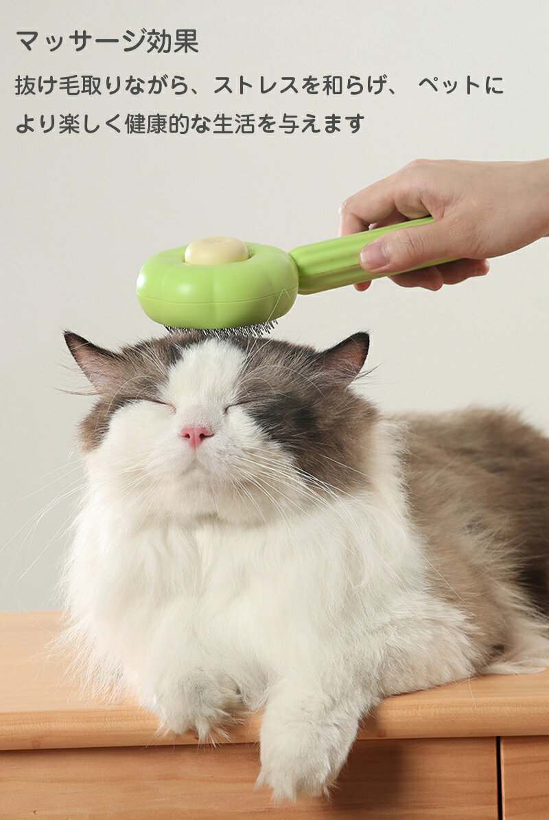 ��50�ߥ����ݥ�������! ����̵���� �ڥå��ѥ֥饷 ǭ �֥�å��� ���֥饷 �ڥå��Ѥ��� �ԥ�֥饷 �������� �ޥå����� ���� ǭ �֥饷 û�� Ĺ�� ȴ���Ӽ�� ��󥿥å����� ����󥸥��꡼�� ��������ǽ