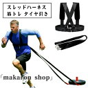 【50円クーポン配布中!】 スレッドハーネス トレーニング 筋トレ タイヤ引き 爆発的 加速力 ストラップ スレッドハーネス フィットネ パッド