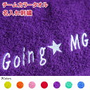 チームカラータオル 名入れ刺繍 フェイスタオル 綿100% 無地 薄手 グリーン ブルー パープル レッド ピンク オレンジ イエロー