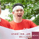今治製タオル タオルハチマキ【日本・必勝】はちまき ハチマキタオル 鉢巻 日本製 綿100% 総柄 合格祈願 アイドル応援 グッズ 汗 応援 オリジナル 約5x120cm