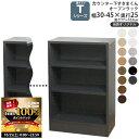 【10/25 2人に1人最大100%ポイントバック】カウンター下 収納 オープンラック 奥行25cmタイプ T すきまくん 当店オリジナル 開き扉シリーズ用 オ...