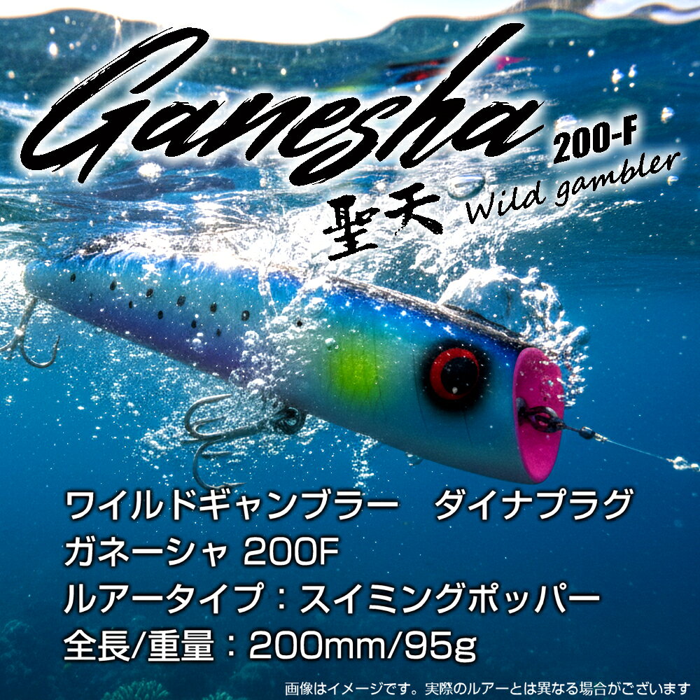 楽天市場】ワイルドギャンブラー 聖天 ガネーシャ 200F スイミング