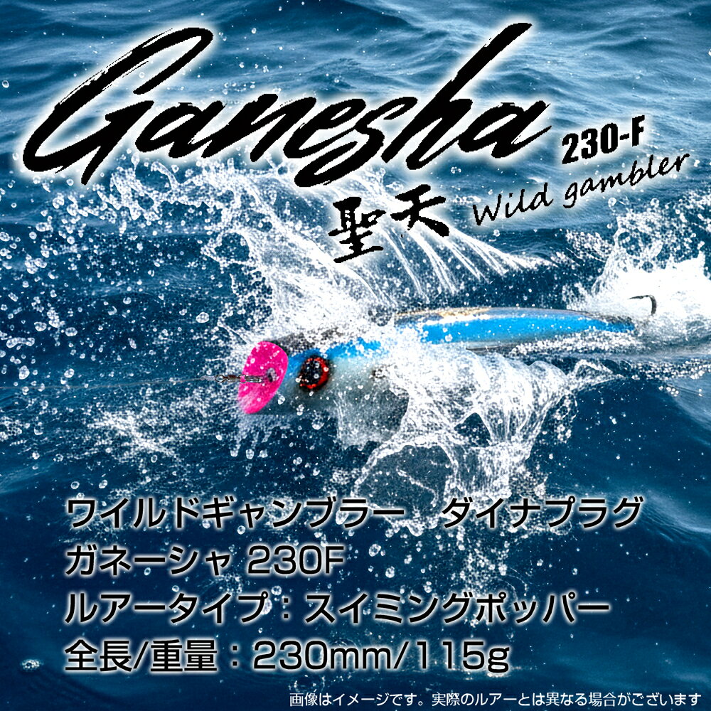 楽天市場】ワイルドギャンブラー 聖天 ガネーシャ 230F 115g