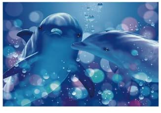 ݥ å å󥰥ɥե/Lassen -kissing dolphins