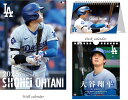 大谷翔平 2025年カレンダー3種【壁掛け+ 卓上+万年日めくり】セットカレンダー