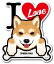 ɥå ƥåSHIBA INU Ƹ I LOVE ƥå PET-041