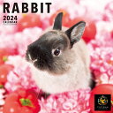 人気のウサギが登場するカレンダー!! 可愛い動物達が、色鮮やかな花や植物に囲まれたカレンダーです。 ※発売日：2023年9月16日発売予定※ ●サイズ/ W288×H288mm(開いた状態：W288×H576mm) ●ページ数/ 28ページ(23年9月〜24年12月) ●壁掛け用・ブックレット式(中とじ) ●PKG/ フック穴付き OPP袋入り ※日本の祝日や行事が表記されています。 ※種類別オリジナルシール付き（280×280mm）