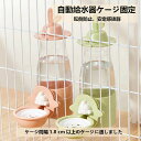ウサギ 給水ボトル 小動物 兎 水飲み器 ウォーターボトル フェレット ロップイヤー 自動補水 安定拔群 こぼれ防止 600ml