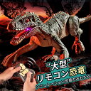 【楽天スーパーSALE】お買い物マラソン【P5倍】恐竜 おもちゃ 動く ロボット12CH 恐竜ラジコン 子供 クリスマスプレゼント リアル ダイナソー 子供 ギフト プレゼント 知育玩具 室内遊び 屋外遊び 男の子 女の子 子供 子ども 誕生日 クリスマ(4)