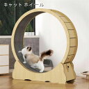 【楽天スーパーSALE】キャット ホイール 猫 ランニングホイール キャットウォーク キャット運動 鍛錬 鍛える 猫回し車 ローラーミュート猫 ネコ ホイール 猫のトレッドミルの車輪 猫用ホイール 太さ対策 猫用品(4)