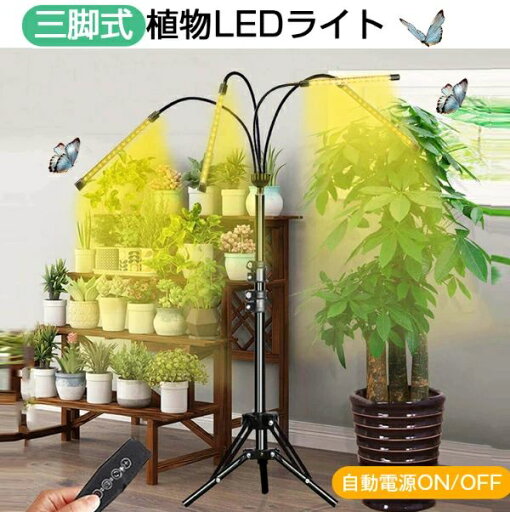 植物育成ライト LED スタンド4灯 タイマー 三脚 植物育成LED usb 観葉植物育成ライト 植物ライト 多肉植物育成 トフルスペクトル 10階段調光 80LEDランプ 太陽光 4ヘッド付き 室内栽培ライト 水耕栽培ランプ 光 植物育成ライト LED スタンド4灯 タイマー 三脚 植物育成LED usb 観葉植物育成ライト 植物ライト 多肉植物育成 トフルスペクトル 10階段調光 80LEDランプ 太陽光 4ヘッド付き 室内栽培ライト 水耕栽培ランプ 光
