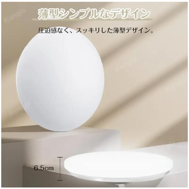 シーリングライト LED LEDシーリングライト LED照明 10畳 12畳 10~12畳 調光 調色 照明 電気 照明 リビング 寝室 和室 洋室 天井照明 節電 省エネ