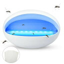 【楽天スーパーSALE】蚊取り器 捕虫器 こばえとり ハエ取り 殺虫灯 コバエ 殺虫機 8W LEDライト 光源誘引式捕虫器 虫取り 誘虫灯 粘着シート 捕虫シート 殺虫ライト 室内 誘虫灯 蚊よけ 蚊除け 蚊取り 虫除け はえとり コバエ 居間 台所(4)