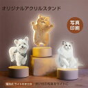 オーダーメイド ペット オリジナル アクリルスタンド ナイトライト アクスタ アクキー 写真 写真印刷 犬 猫 愛犬 愛猫 文鳥 うちの子 家族 写真 きりぬき...