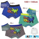 【3点以上購入で追跡メール便送料無料】●ダイナソーBDボクサーパンツ（100〜140cm）【ZAZZY ZAPS（ザジーザップス】子供/キッズ/男の子/恐竜/下着/OPENK