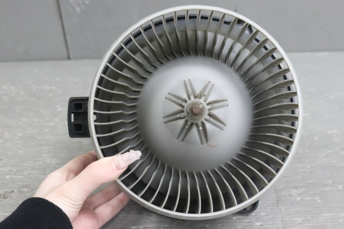 �������ɥ若��(CM2) ���� ư���ݾ� �֥����ե���⡼���� �ҡ������⡼���� �쥸�������� p051717 ���20250111