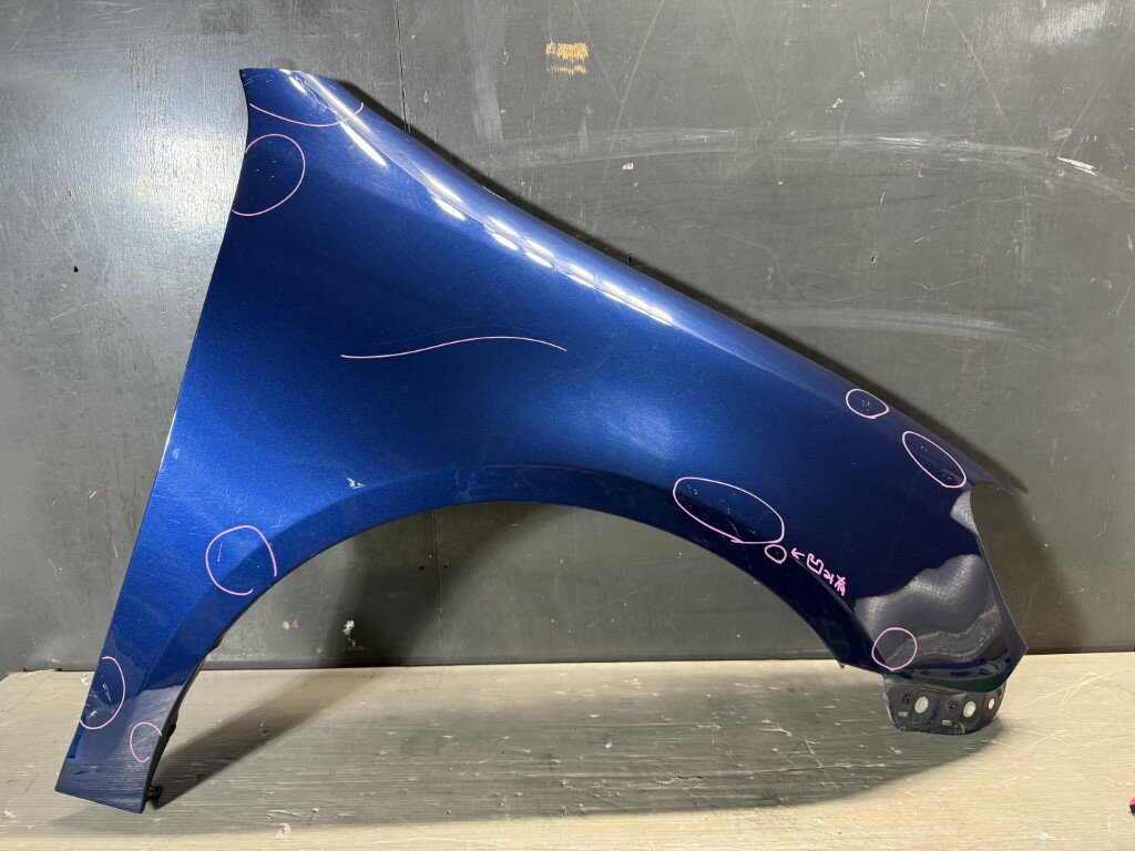 Rakuten - VW ゴルフ ヴァリアント(1K) 純正 破損無 右 フロント フェンダー フェンダー 青 ブル—系 p054351 中古20250419