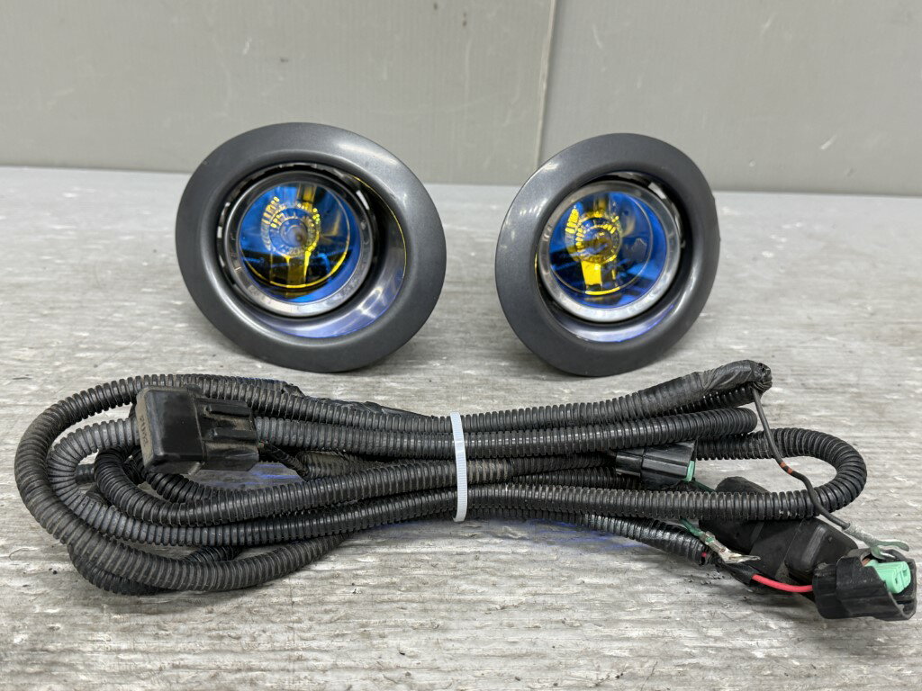  ⥳ (MG22S)   »̵ ưݾ ե å ޥ   2191 p058830 20251027