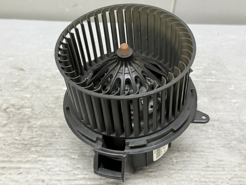 シトロエン C3(A55F01) 純正 破損無 動作保証 ブロアファンモーター ヒーターモーター T4190001 p059474 中古20251126