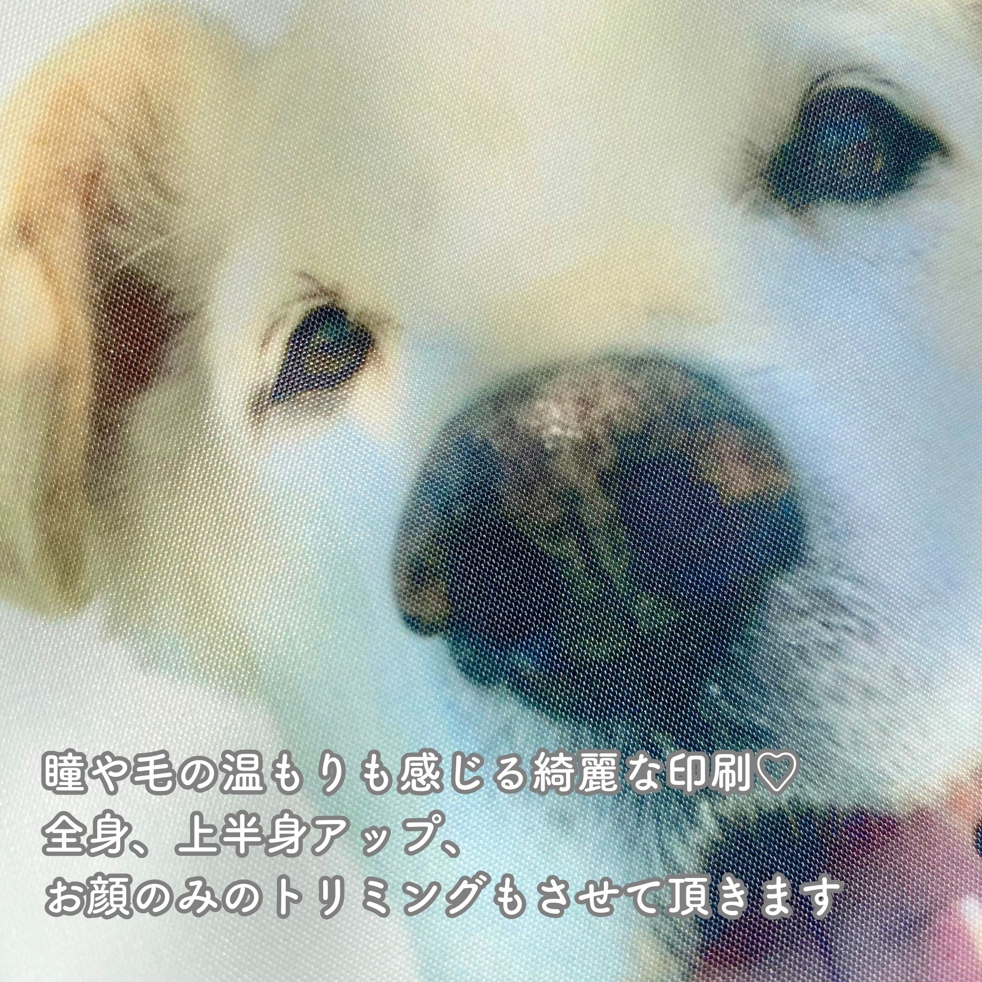 《うちの子専用エコバッグ》の紹介画像2