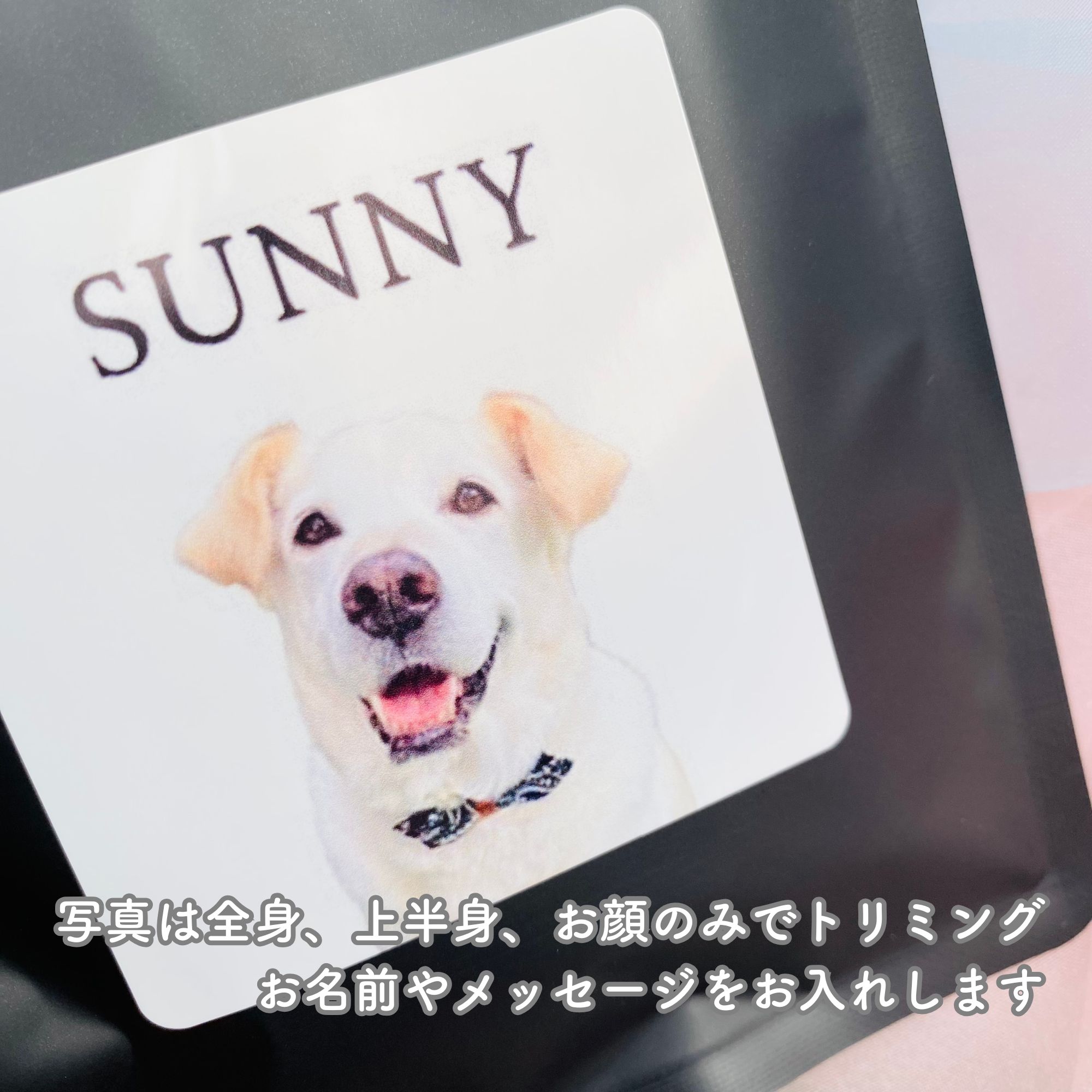 《うちの子専用ドリップパックコーヒー》の紹介画像2