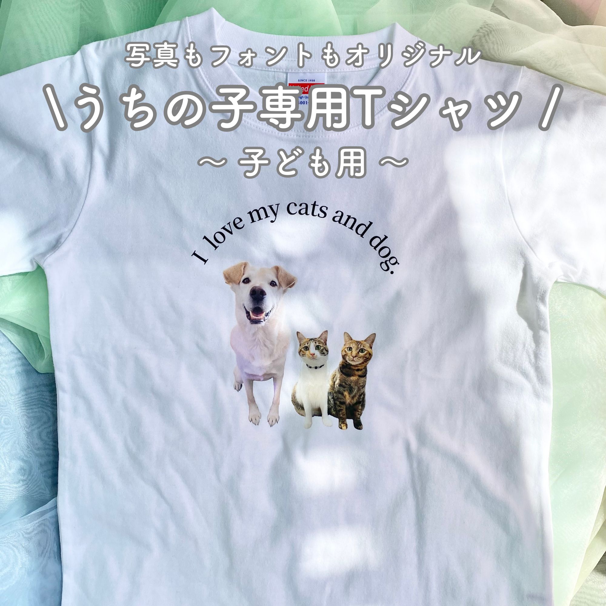 想像以上に可愛いうちの子専用Tシャツ♡ お気に入りの写真でお作りします。 お写真は多頭料金なしで切り取り加工いたします。 ご希望の文をお好きな文字でオリジナルのTシャツを♪ フォントもお選びいただけます。 【Tシャツ】 United Ath...