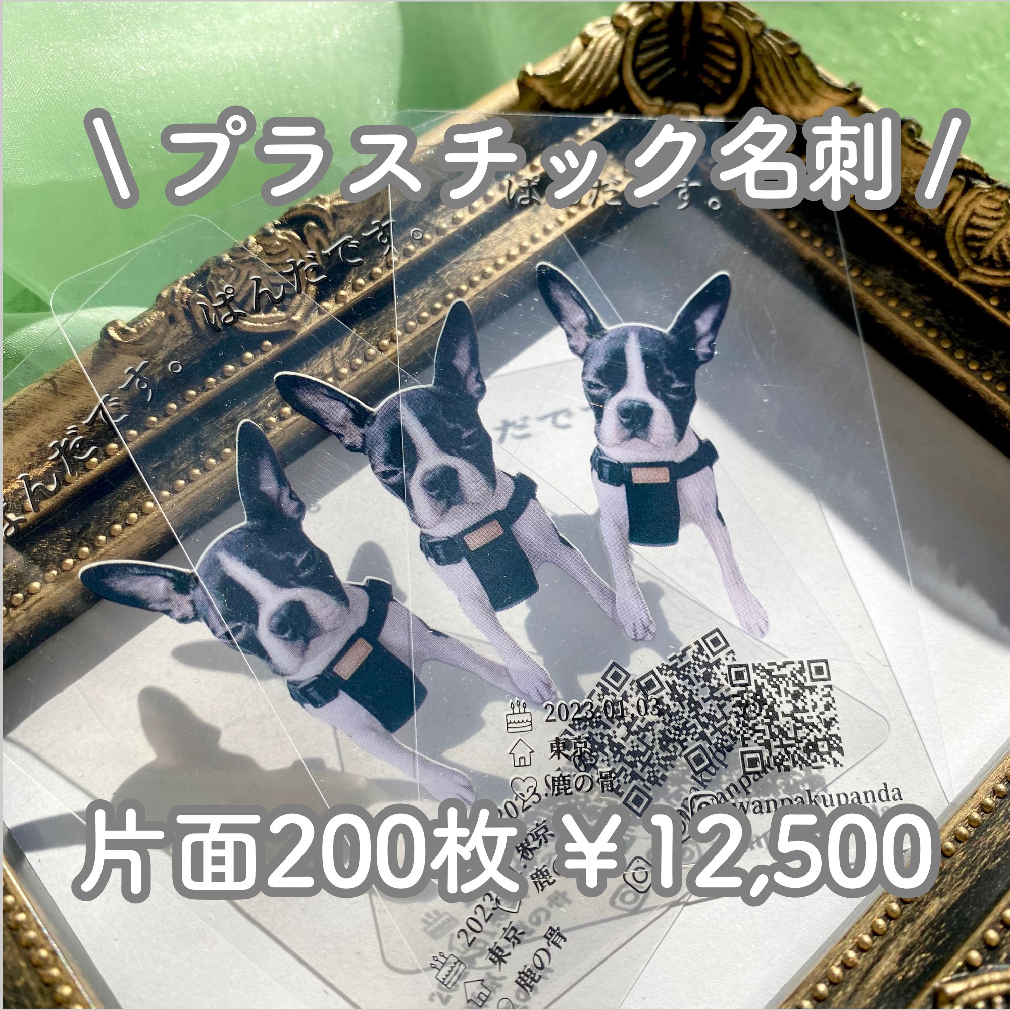 【プラスチック名刺・片面200枚】 イメージ確認あり ペット名刺 ビジネス名刺