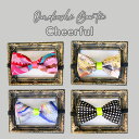Omekashi Bow tie - Cheerful -