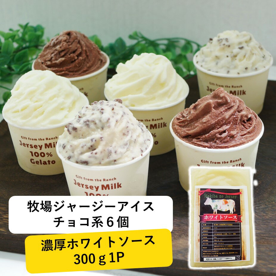 アイス アイスクリーム ギフト 箱 業務用 カップ 詰め合わせ お得 大量 高級 福袋 配達 冷凍庫 2023 ジェラート シチュー まきばのジャージー 牧場 チョコ系 6個 と 濃厚 ホワイトソース 300g1パック セットのサムネイル